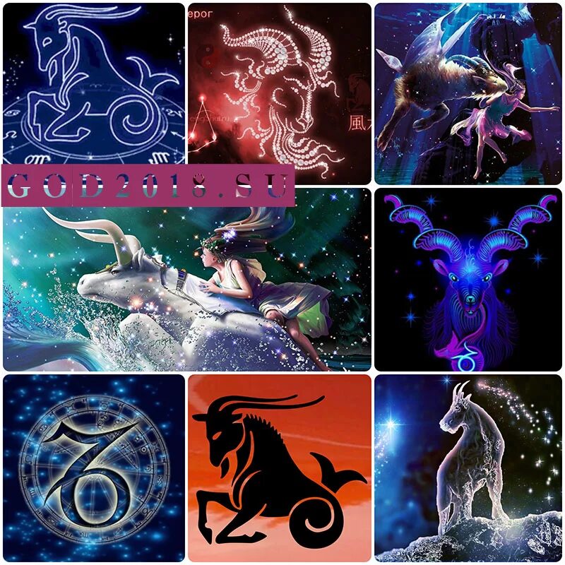 козерог растения символы. козерог по знаку зодиака. козерог знак. комнатные растения по знаку зодиака козерог. козерог растение.