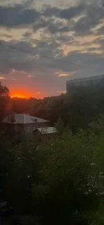 Подслушано королев