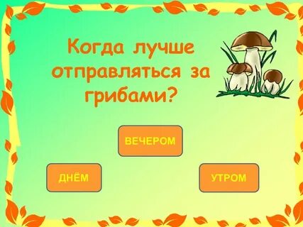 Отправились грибами