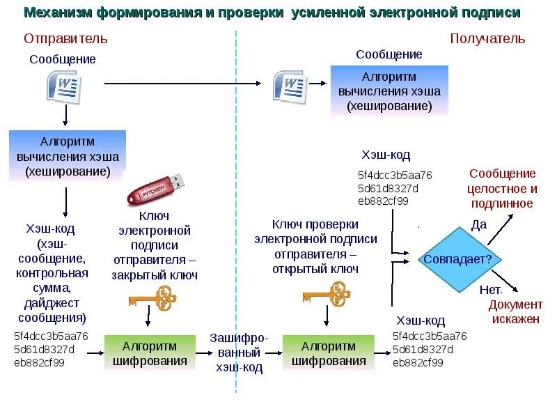Электронная подпись в МФЦ: пошаговая инструкция по оформлению ЭЦП в многофункцио