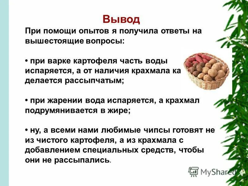 Варка картофеля это изменение структуры животного белка. Вывод о картофеле. крахмал при отваривании картофеля. роль ферментов при варке картофеля. крахмал в картошке при варке.