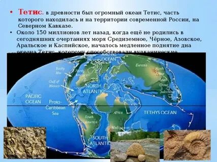 Океан тетис