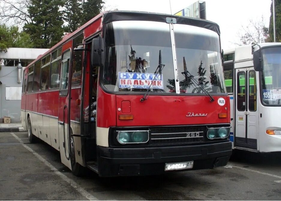 Автобусы сухуми. Икарус 250.59. Икарус 250 на автовокзале. Икарус 250 Абхазии. Икарус 250 Краснодар.
