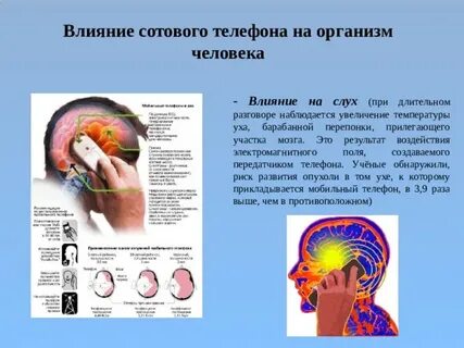 Влияние магнитна на человека