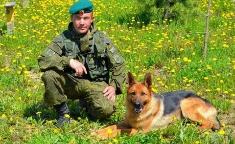 Дело пограничника