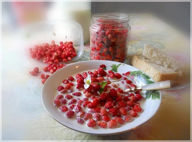 Земляника лесная. Парное молоко с земляникой. Ягоды в деревне. Клубника с молоком и сахаром. Земляника спелая с парным.