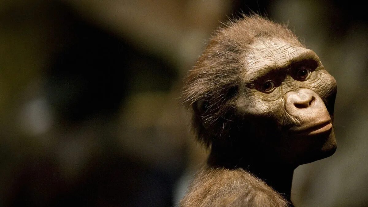 1 8 млн лет назад. 1 8 млн лет назад. Палеоантропы неандертальцы. 1 8 млн лет назад. Пермский период вымирание.