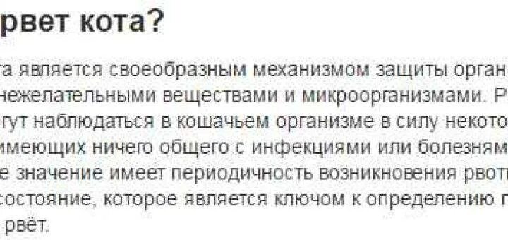 Почему кот блюёт после еды. Кошку рвёт после еды непереваренной пищей. У кошки рвота после еды причины. Почему кошка рыгает после еды.