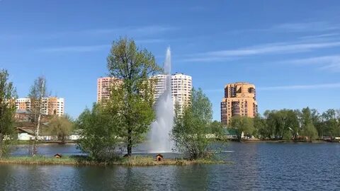 Пруды в реутове