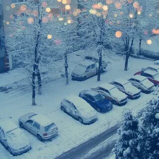 Let t snow