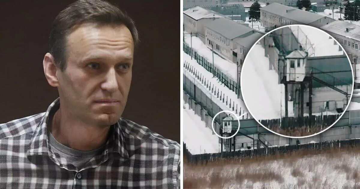 Когда последний раз видели навального. Когда последний раз видели навального