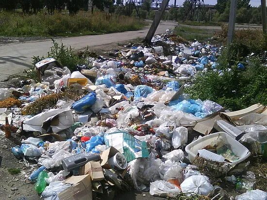 Загрязнение города мусором проект Как в различных странах борются с мусором