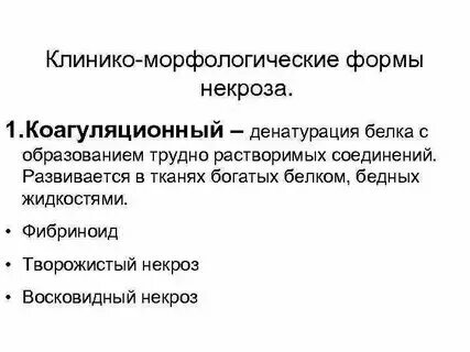 Морфологические формы ели