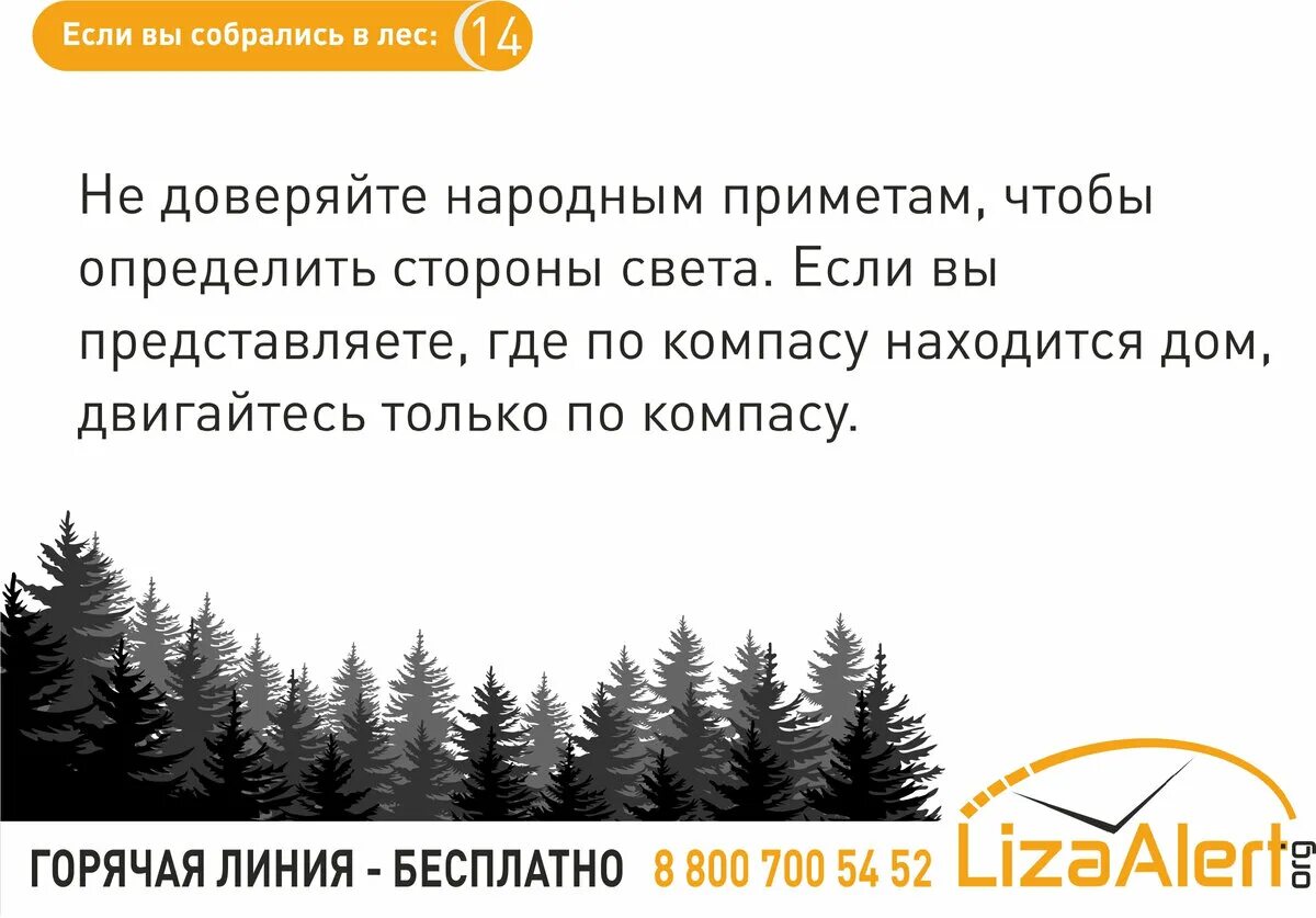 Собираясь в лес. Если заблудился в лесу. Куда звонить если заблудился в лесу. Памятка если вы заблудились в лесу. 1 из 3 в котором можно заблудиться