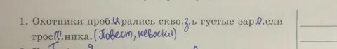 Сквозь густые