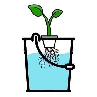 Grow world