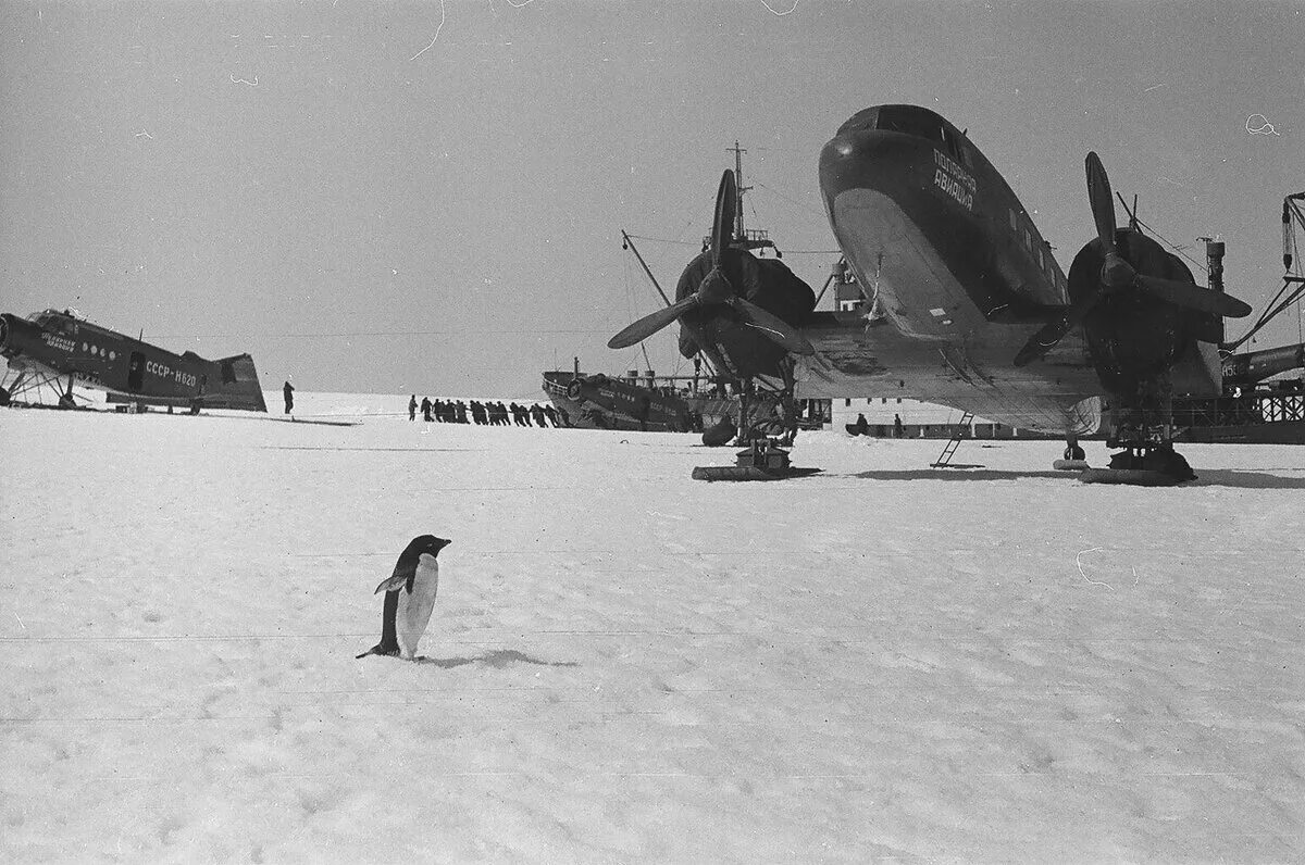 Первые антарктические станции. Первая антарктическая Экспедиция 1956. Станция Мирный в Антарктиде 1956. Первая Экспедиция в Антарктиду 1956. Советская антарктическая Экспедиция 1956.