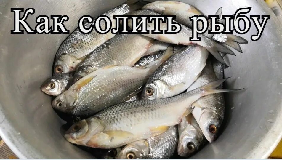 Салит р