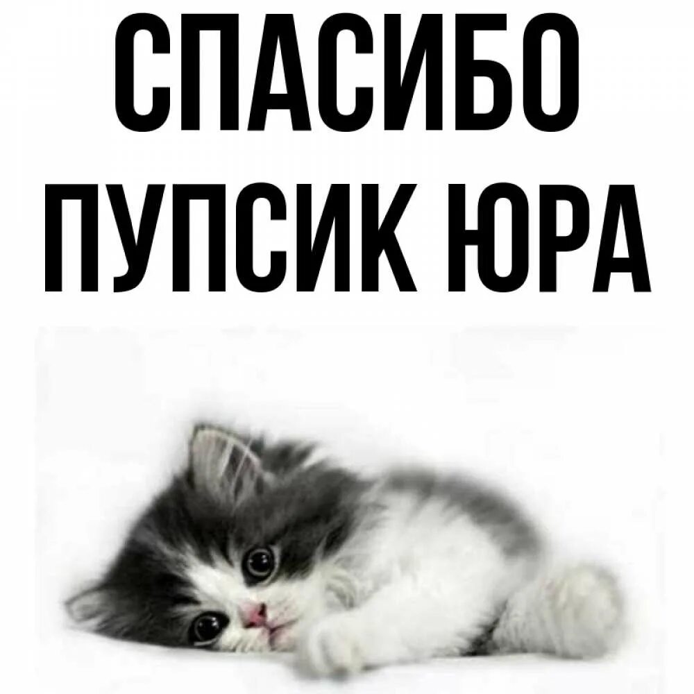 Спасибо юре. Спасибо юра. спасибо пупсик. юра пупсик.