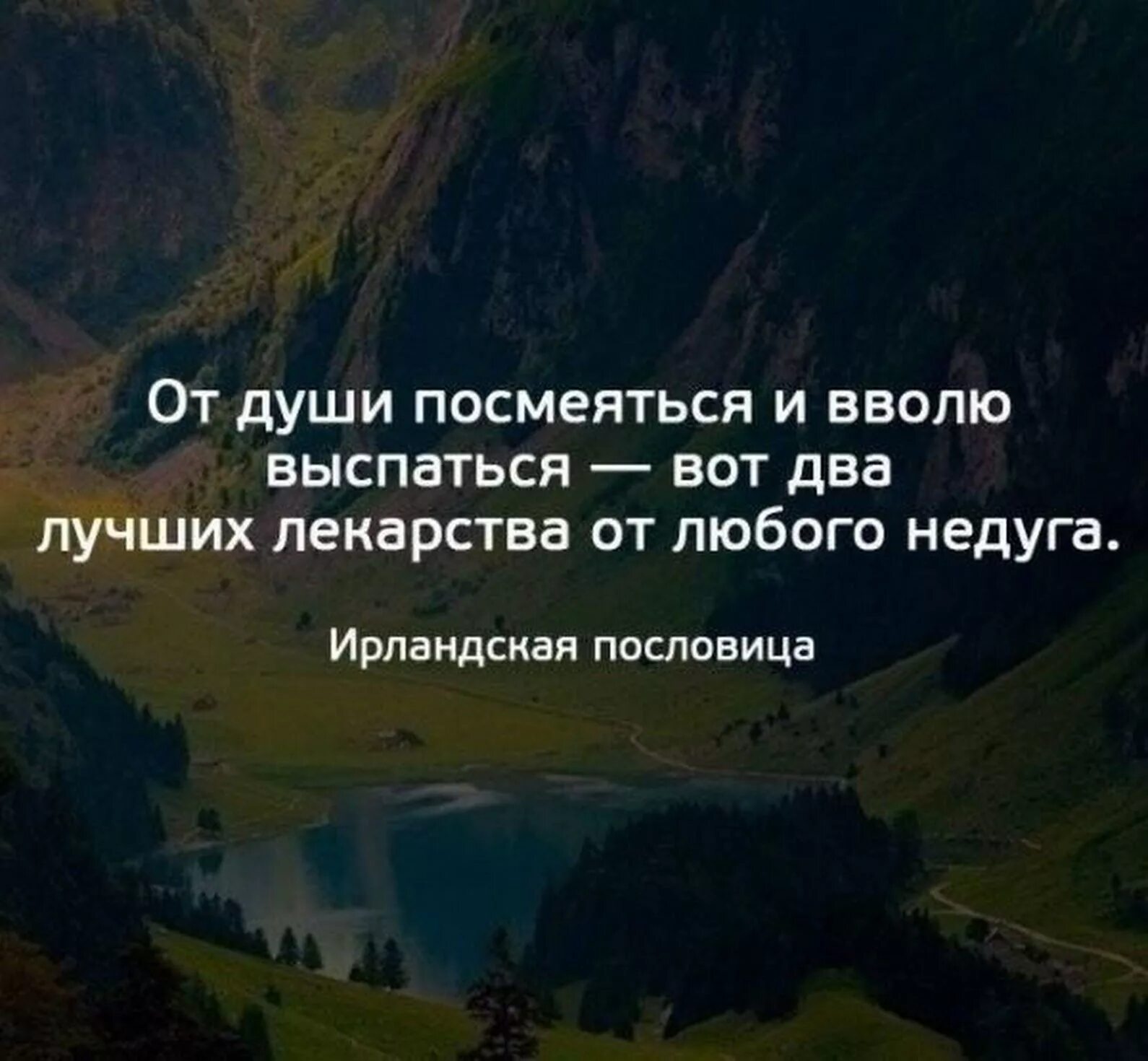 Умные слова пословица. Умные фразы. Умные цитаты. Хорошие цитаты. Мысли цитаты.