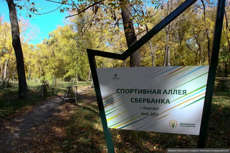 Спортивная аллея. Спортивная аллея. Парк технических видов спорта курьяново. Проект олимпийской аллеи. Татышев парк красноярск.