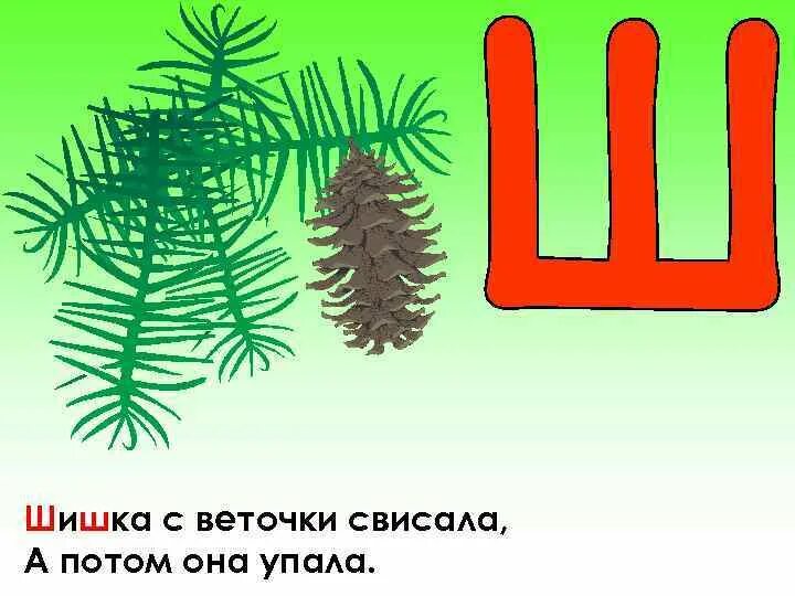 Стих про букву ш. Буква ш. Буква ш стихи для детей. Проект буква ш. Ребус шишка