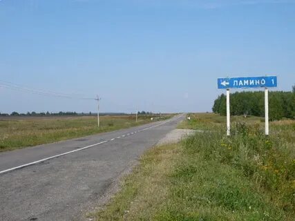 Сараев д п
