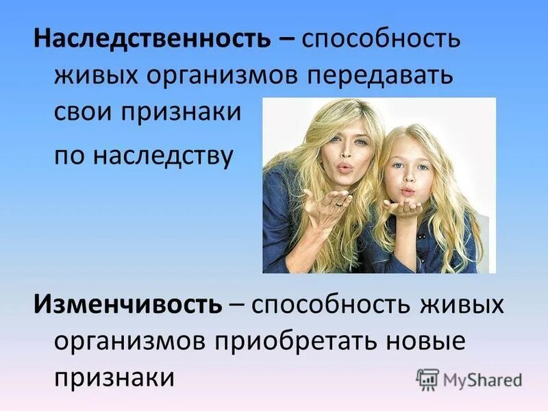 наследственность определение. признаки свойства живой материи. материальная основа наследственности бактерий. способность организмов передавать свои признаки и особенности. наследственность организмов.