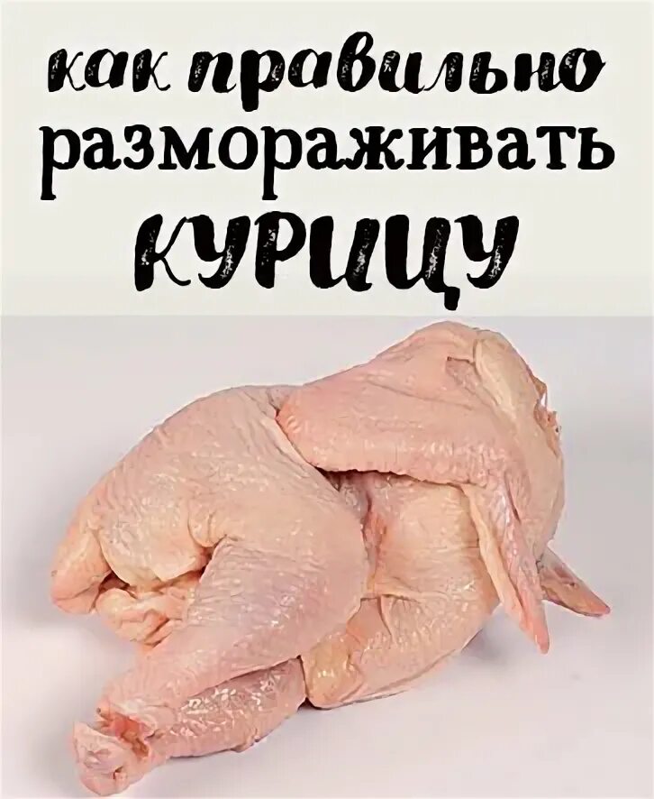 Как размораживают домашнюю птицу. Как правильно размораживать птицу. оттаивание курицы температура.