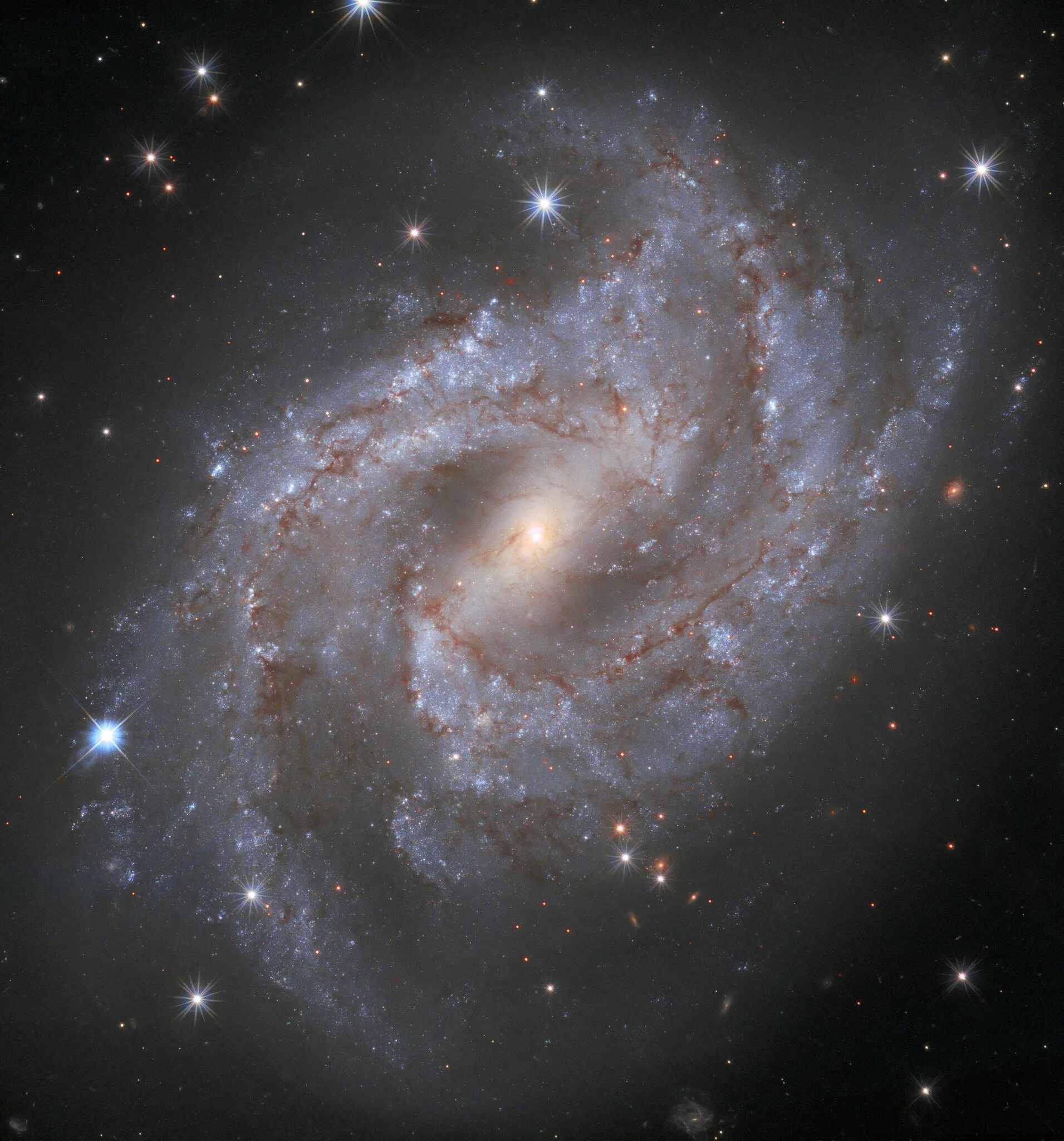 Обнаружена новая звезда. Галактика NGC 5643. Космос Галактика NGC 1566. NGC 2770 Галактика. Галактика NGC 7674.
