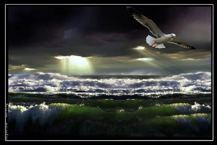 николай гумилев орёл. орел гумилев. гумилёв слово стихотворение. орел гумилев. "слово".