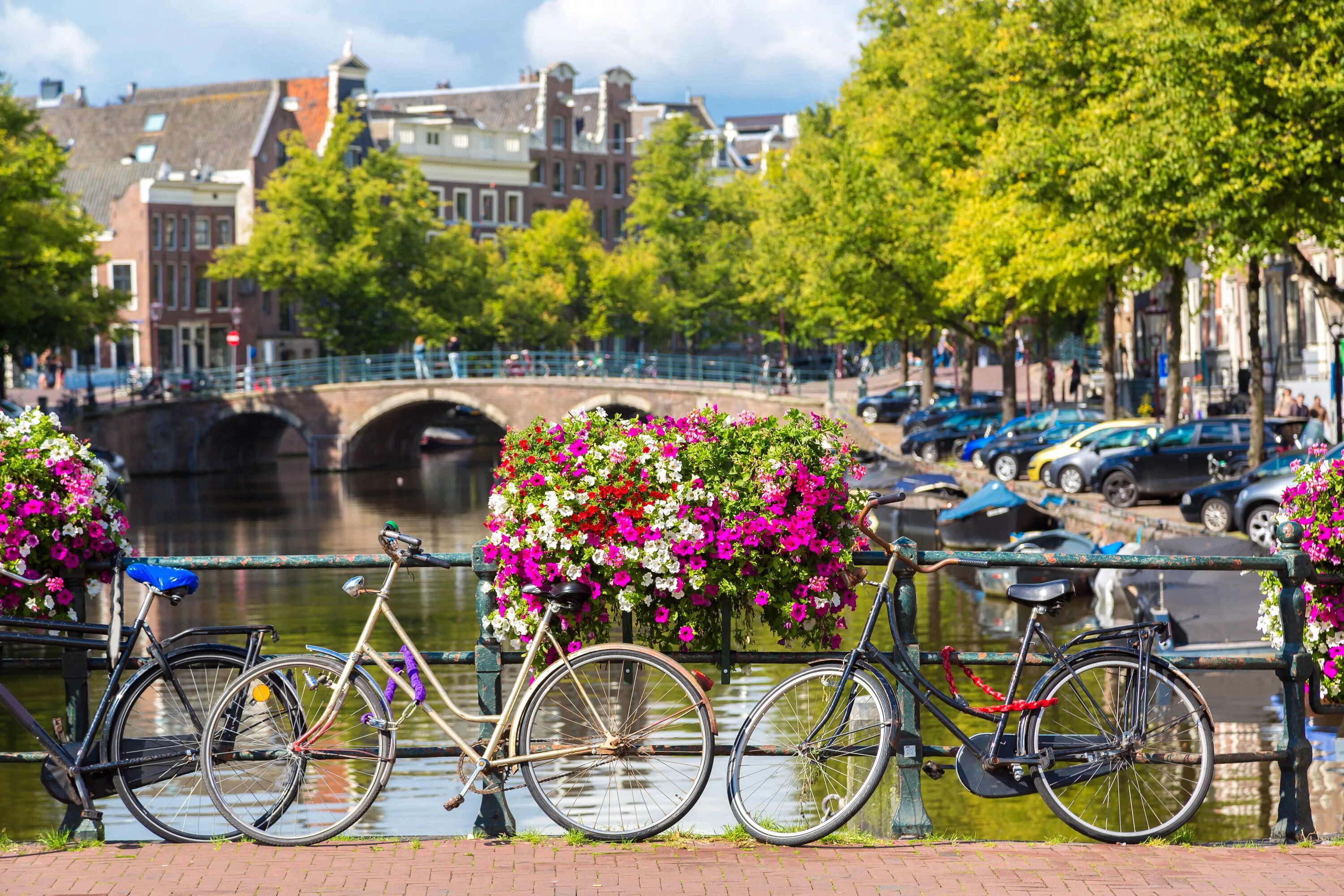 Amsterdam. Столица Нидерланды Амстердам достопримечательности. Амстердам велосипедная столица. Город Стадсканал Нидерланды. Голландия столица Амстердам дороги парк велосипед.