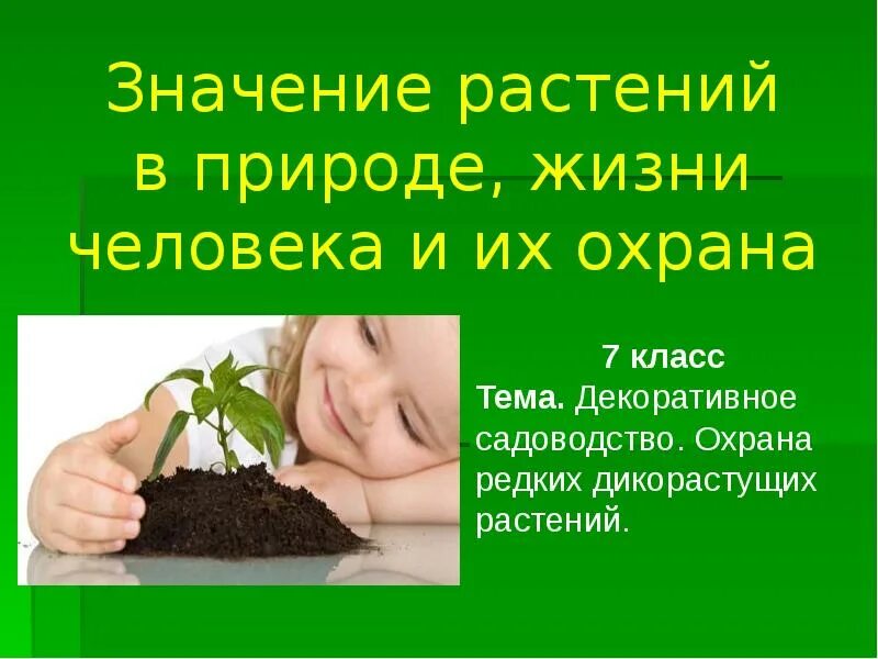 Растений человеком становится. Растения в жизни человека. Роль растений в жизни человека. Значение растений в природе и жизни человека. Важность растений в жизни человека.