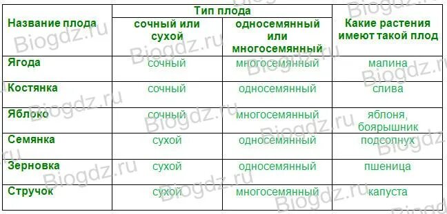 Строение и многообразие покрытосеменных растений. 6 класс
