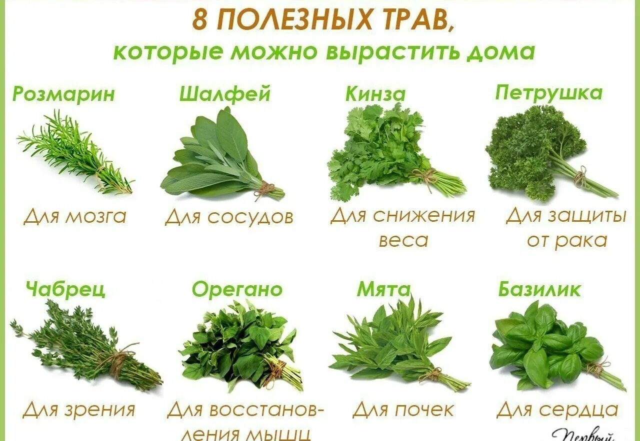 Какую траву в рыбу