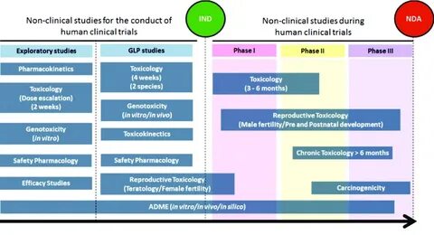 Clinical studies