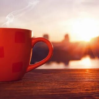 Videos morning