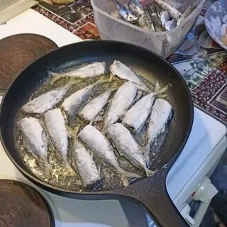 Рыба назад