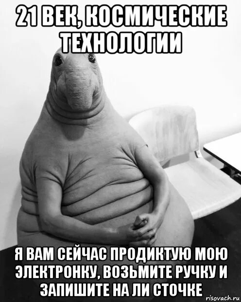 Жди если хочешь