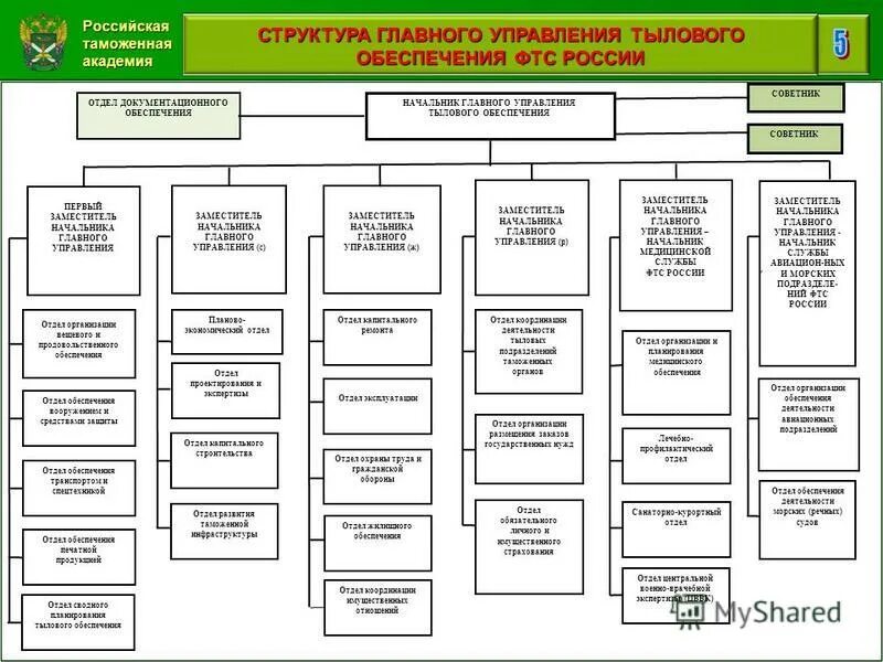 Управления фтс. Структура главного управления тылового обеспечения фтс россии. схему управления (организационную структуру) таможенных органов рф. структура таможенных органов схема. фтс россии структура управления схема.