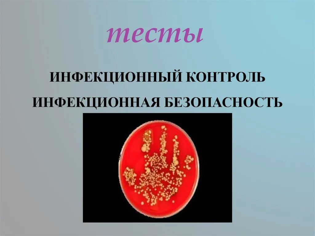 инфекционный мононуклеоз герпес. эпштейна-барра атипичные мононуклеары. реконвалесцент инфекционного мононуклеоза. мононуклеоз вирус эпштейна. инфекционный мононуклеоз (инфекция вирусом эпштейна — барра).