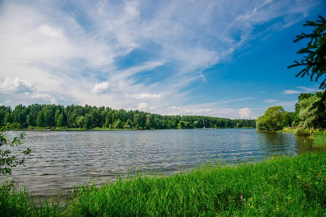 Истринские водоемы. Истра водохранилище. Озеро Истра Московская область. Истра Московская область водохранилище. Мстинское водохранилище.