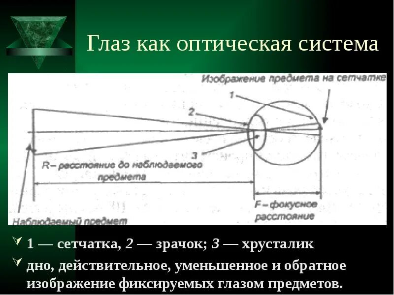 Строение оптической системы глаза человека. Глаз и зрение оптические приборы. Схема оптической системы глаза. Глаз как оптическая система зрение физика. Глаз как оптическая система зрение физика.