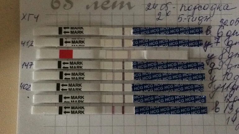 6 дпп тест отрицательный. Тест на беременность после эко. Тесты на беременность после переноса эмбрионов. Тесты после переноса. Тесты после переноса эмбрионов.