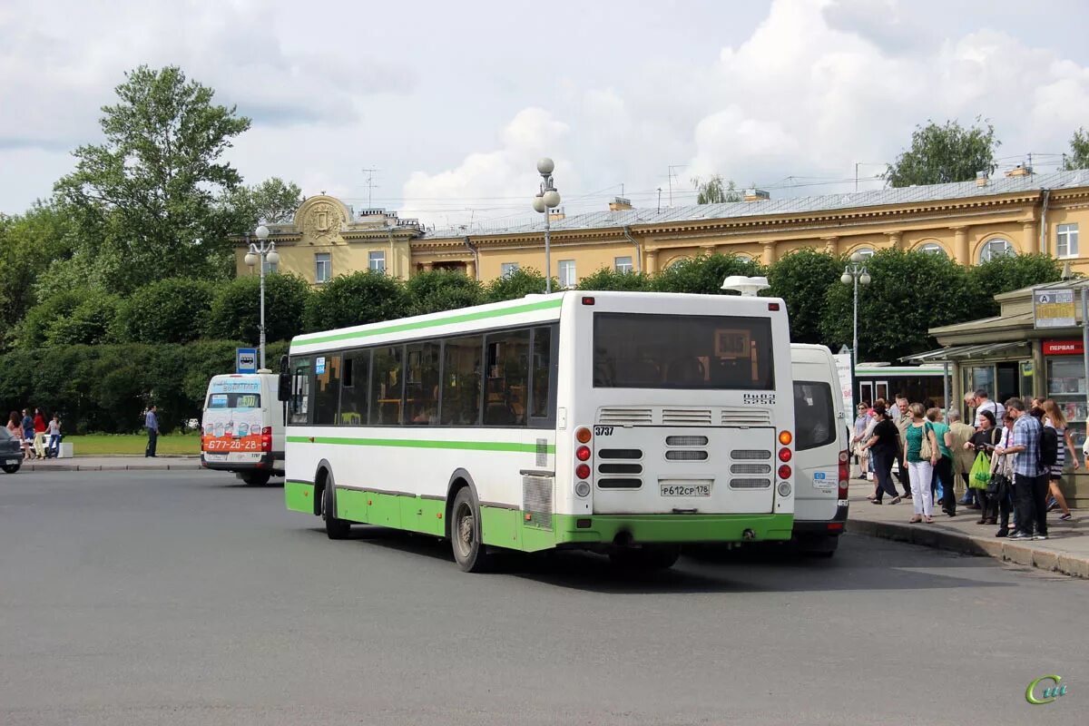 545 Маршрутка СПБ Пушкин. Маршрут 545. Автобус Пушкин. 545 Автобус.