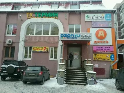 Улице котина спб