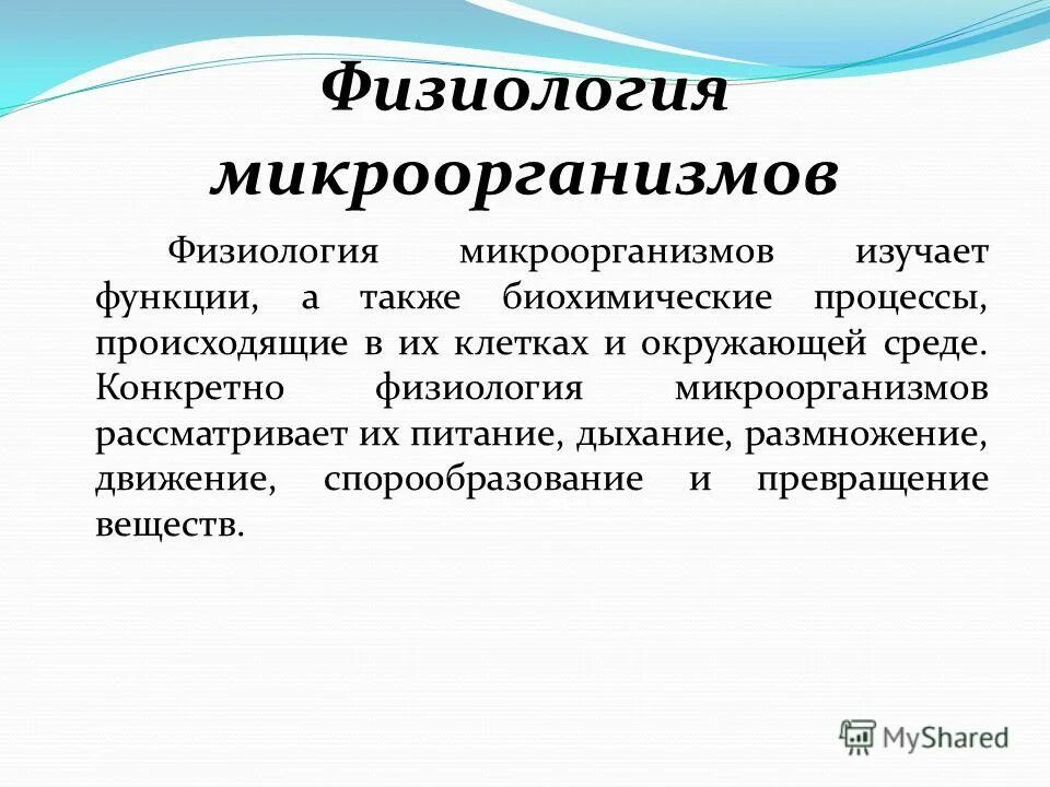 Что изучает физиология микроорганизмов. Физиология микроорганизмов микробиология таблица. Физиология микроорганизмов питание. Физиология микроорганизмов микробиология.