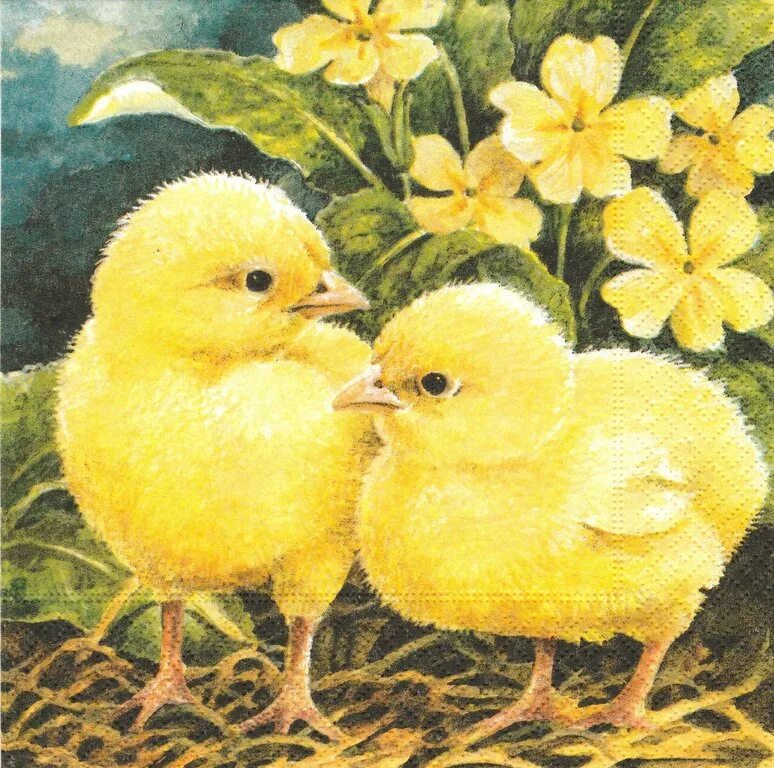 Пасхальные утята. Цыплята на лугу. Красивые цыплята. Курица с цыплятами. Цыпленок в траве.