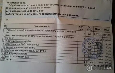 9 месяцев зеленодольск