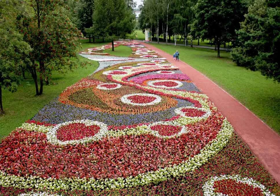 партер ландшафт. рабатка с анютиными глазками. арабеск цветы. арабеска в ландшафте. ковровые цветники.